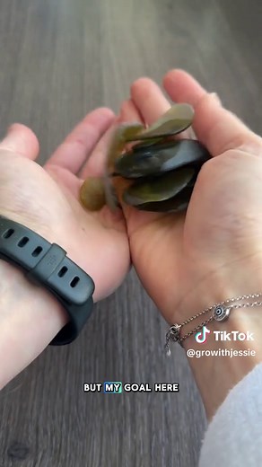 Wine Bottle to Sea Glass: 4 Month Tumbling Update