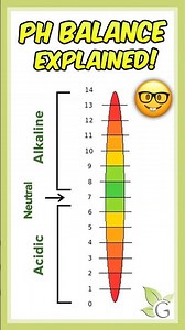 What is pH and Why Does It Matter? ⚖️ #naturalhair #phbalance