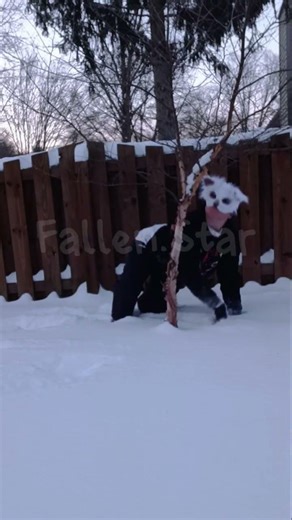 pretty tree #theriangear #furry #alterhuman #therian #therianthrophy #quadrobics