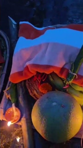 Jai Chhathi Maiya🙏✨️ #chhath #chhathpuja #chhathmahaparv #bihar #ytshortsnew