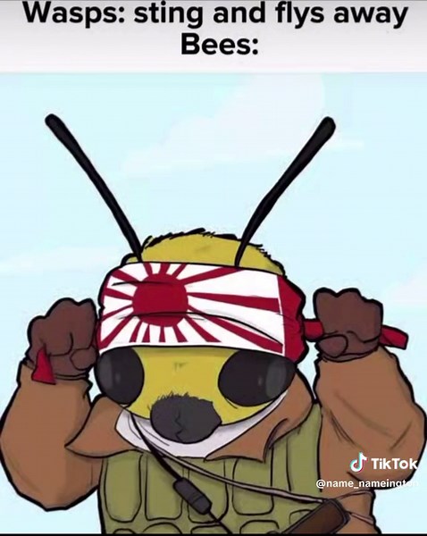 #historymeme #ww2meme #imperialjapan #japanesememe #ww2 #japan #history