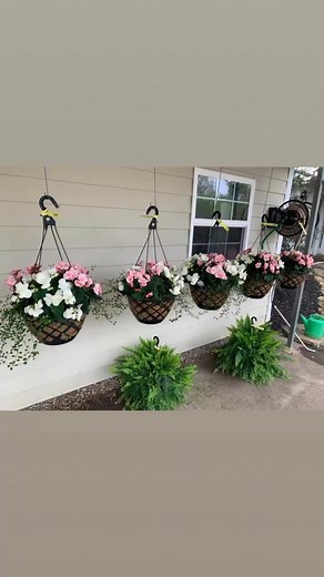 Anthony Richards is blooming beautifully! New hanging baskets have arrived just in time for Mother's Day. | Anthony Richards Landscaping