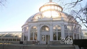 New York Botanical “winter” Garden