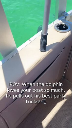 2.2K views · 35 reactions | Fun fact: Dolphins use bubbles to express curiosity, excitement, and even play with humans. Scientists believe they blow bubble rings to be playful—or to show off. This one was definitely showing off for us. #destin #dolphincruise | Destin Crab Island Adventures | Facebook