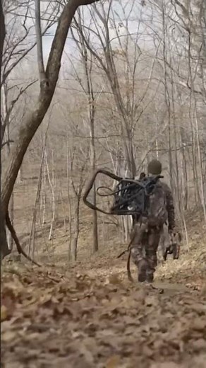 BIGFOOT ENCOUNTER IN THE DANIEL BOONE NATIONAL FOREST DOCUMENTARY #bigfoot #nature