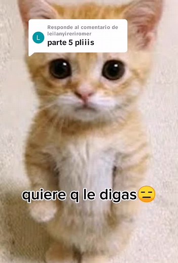 Respuesta a @leilanyireriromer Holiiiis potato y su paquete parte 5 y última. #potato #tiktokponmeparati