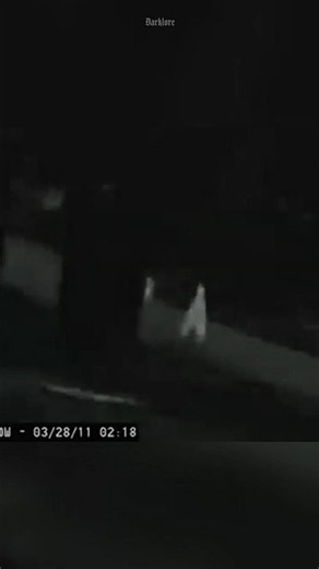The Bizarre Fresno Nightcrawler Caught on Camera