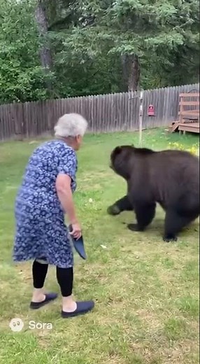 Dash Gone Wild: Granny - get off my lawn! that slap was critical hit lol #backyard #memes
