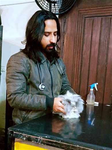 Rabbit Health Check-up with Dr. Ali