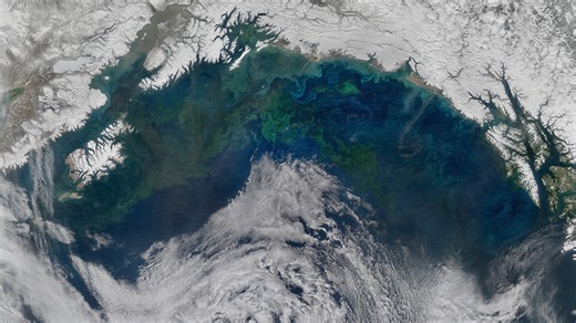 Iron Emissions Are Shifting a North Pacific Plankton Bloom - Eos