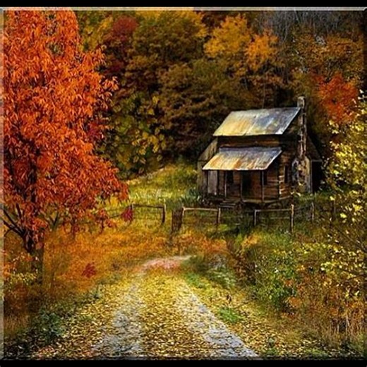 10K views · 323 reactions | Back Roads Living on Reels | Facebook