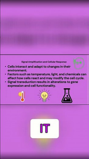 Cell Signal Amplification: How Cells Adapt & Communicate