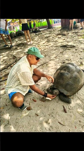 Hidden Paradise in Seychelles 🇸🇨 Praslin Island Tour