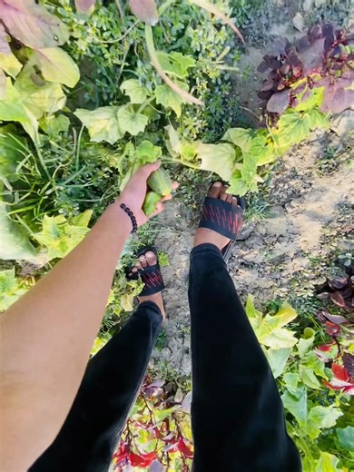 🐸🙏 . . . . . #shamu_bbz