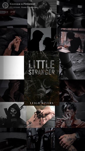Little Stranger Book Review: A Thrilling Read