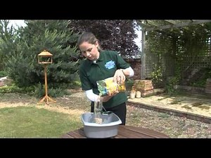 Nature's Feast Wild Bird Feeding Guide