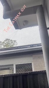 Where to get your cat enclosure @Kitty Catmax #catenclosures #catsoftiktok #catcare #catmax #vet #veterinarian #cat #catlover #catio #catplay #catexperience | CATMAX