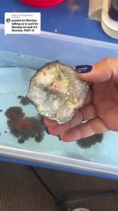 6.2K views · 180 reactions | Rainbow #DIY Geode Results! Let’s see how it came out!  Get your geodes: https://bit.ly/3kmvaod #geode #diy #alcoholink #finalresults #DMC #tiedye | Declan's Mining Co. | Facebook