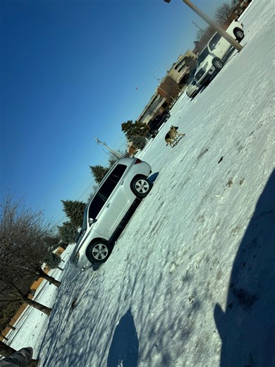 Lawton Grapevine 👁 | Dogs at the Cameron hill sledding | Facebook