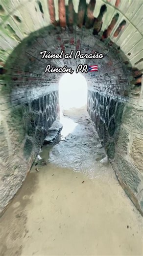 Exploring the Scenic Tunnels of Rincon, PR 🇵🇷