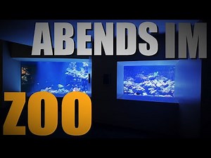 This is what's become of our aquariums… 😳 Update and guided tour at Basel Zoo!