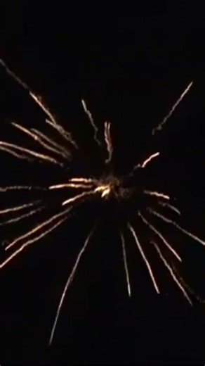Belis von Pyroweb #fireworks #pyrotechnica #feuerwerk #pyro #fireworks #pyrotechnica