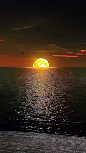 🌸 Flooze 🌸 (@flooze_101)’s videos with original sound - Vetkryt Musiek