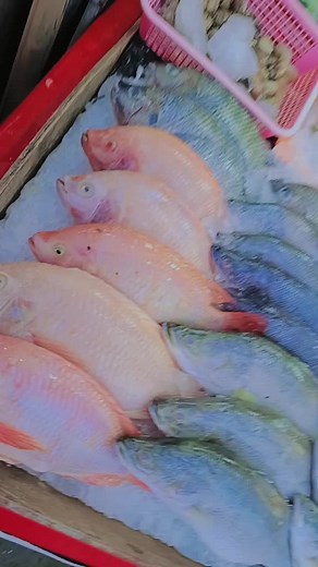 วิดีโอของ Krishna Sdl (@krishna.sdl2) พร้อมเพลง original sound - Phyo Pyae Sone - Songs