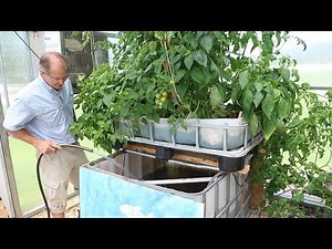 Building an IBC Aquaponics System: Video One- Introduction