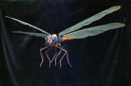 Discover 3 Extinct Insect Species