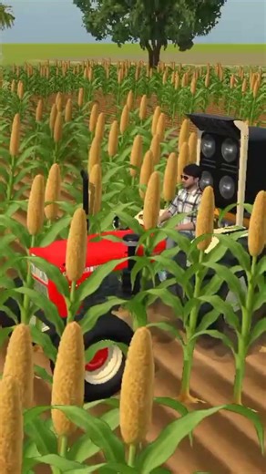 Sikho app download kre😂😂🙏🙏 🙏 🙏😁🚗#funny #comedy #automobile #accident #shorts_yt #road #short_video👿👿