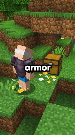 The SMP's Strongest Player Only Wears Leather #minecraft #server #smp