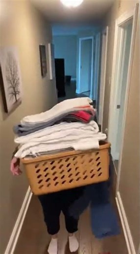 Cat Trips Laundry Stack Disaster!