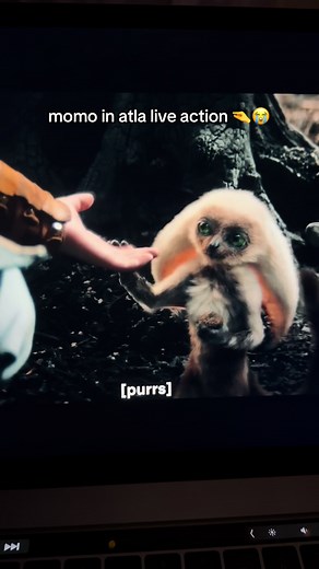 Adorable Momo from Avatar: The Last Airbender - Netflix Live Action