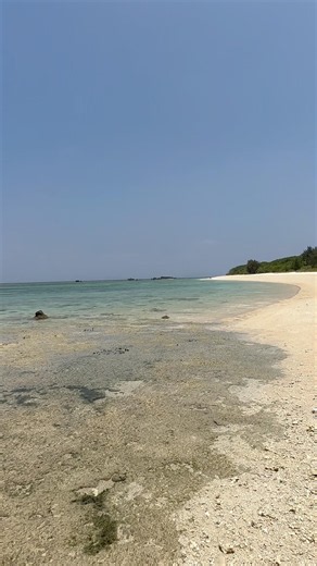 【波照間島】ハマシタンのビーチ2026年5月30日（土）