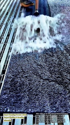 Carpet Cleaning Process | Deep Carpet Washing & Brushing Education