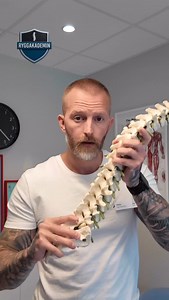 Niklas Andersson on Instagram: "Bra att känna till om långvarig och envis smärta i ländryggen!"