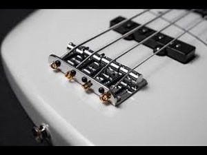 Fretted vs Fretless Bass