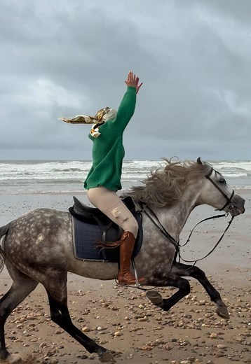 Lhassani will give you wings to fly 🚀🚀🚀🚀 We are animal lovers, a stable and a Travel Agency based in Morocco. Join us for an unforgettable horseride holidays. Ride the best stallions and meet the best team of riders. . . . . . #horse #horsesoftiktok #fyp #equestrian #caballos