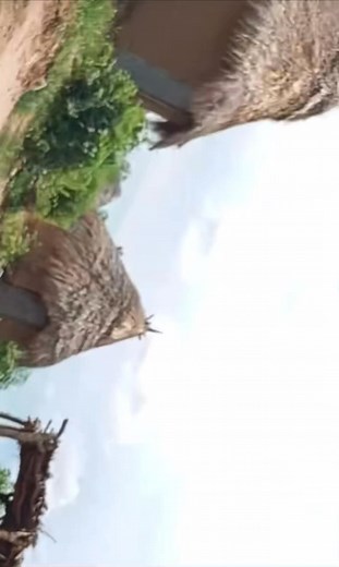 104K views · 5.3K reactions | Just believed in God and the power of his resolution,that's all,God sent Abi James Terkimbi to fight and protect his children, he’s not afraid of any human.‍♂️‍➡️‍♂️‍➡️‍♂️‍➡️‍♂️‍➡️ | SEV SHI AV VE fans page | Facebook