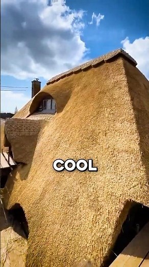 Why These Grass Roofs Last for Centuries!
