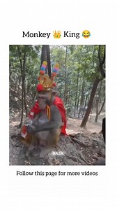 2.6K views · 29 reactions | The monkey King  Ten Unknown Facts...
