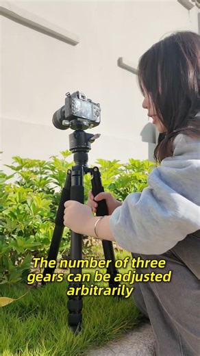 3 Files, Fully Adjustable — Total Control Over Your Setup 🎛️📸