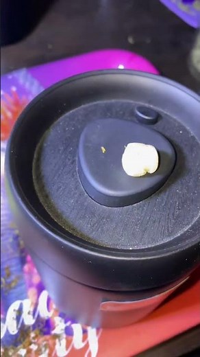 #wonka #melts #piatella #Hash #youtubeshorts