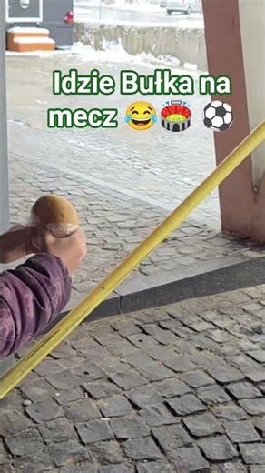 Wyprowadzanie Bułki. #piłkanożna #piłka #bulka #neom #reprezentacjapolski #parodia #sport #piłkarz