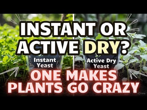 Yeast Fertilizer for Plants: Instant vs Active Dry — Which Explodes Growth Faster?