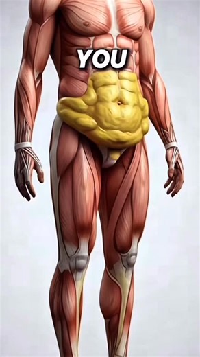 2.1K views · 19K reactions | Burn Fat Fast Abs Workouts‼️ Save it...