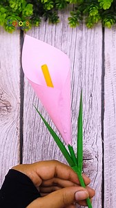 13K views · 140 reactions | DIY Paper Calla Lily Blooms  Turn Simple Paper into Elegant Flowers #handmade #papercraft #shorts #flowers #callalilycraft #diy #homemade #satisfyingvideo | Colors Paper | Facebook