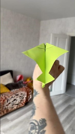 This Plane Flew Across My Entire House!