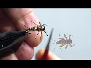 Tying My Version of McPhail's Stoneclinger Mayfly Nymph Fly